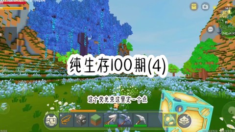 迷你世界树木怎么种植