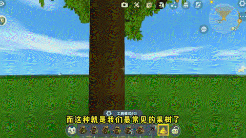 迷你世界树木怎么种植[图1]