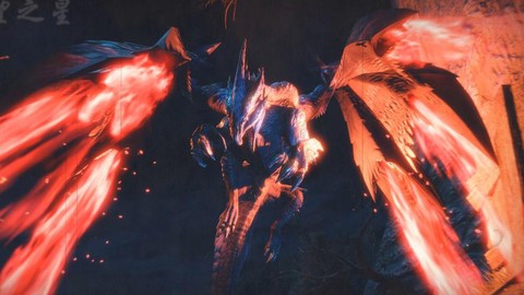 怪物猎人天慧龙弱什么