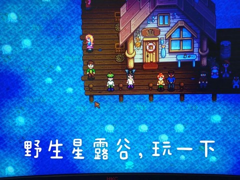 星露谷物语杂志怎么用