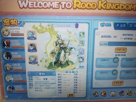 洛克王国东哥辅助怎么刷级[图2]