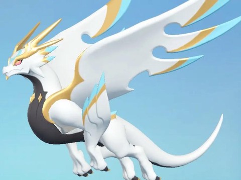 神奇宝贝什么时候更新