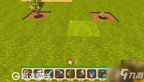 迷你世界怎么得到树苗